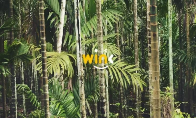 Winklink logo