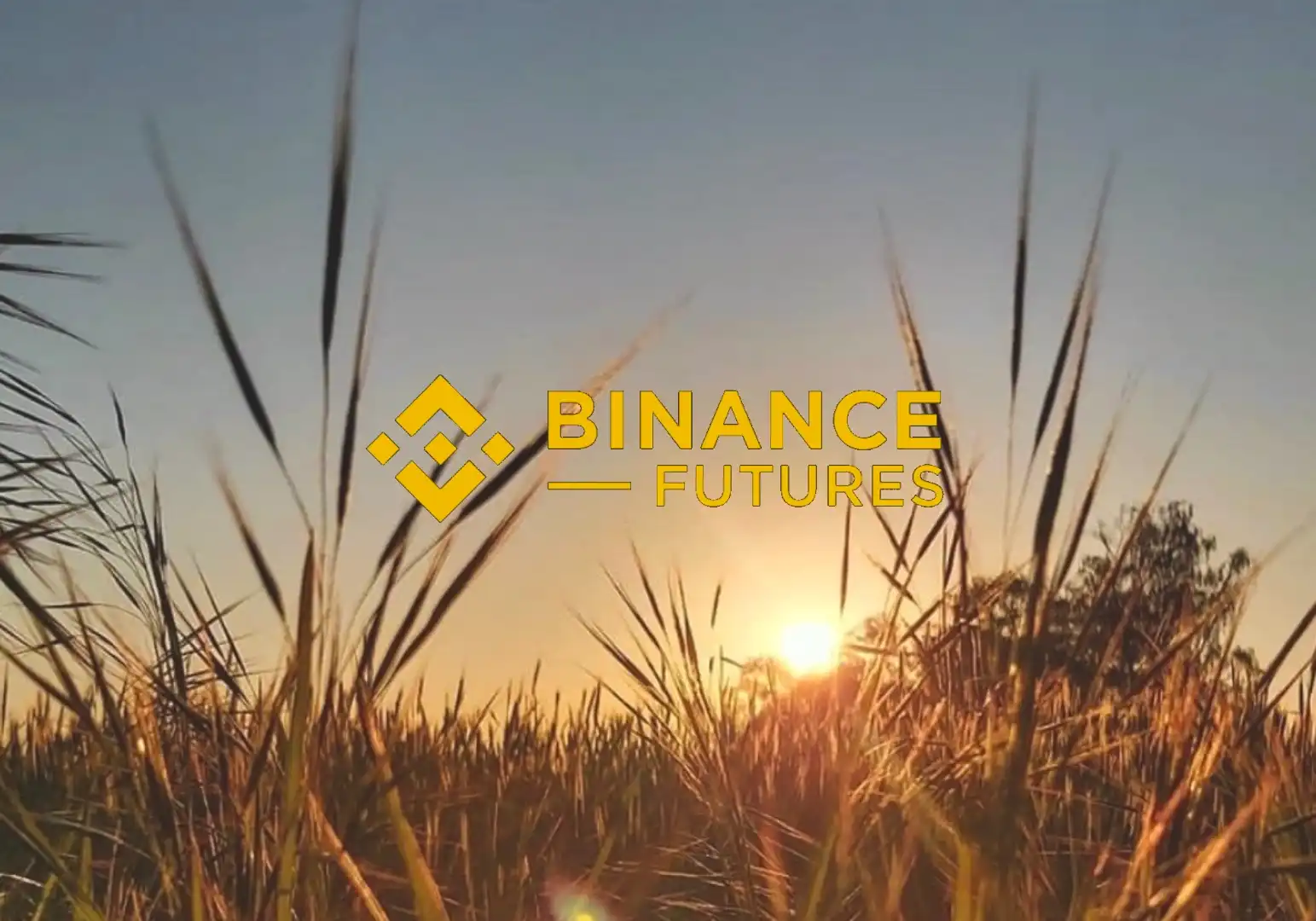 binance futures logo
