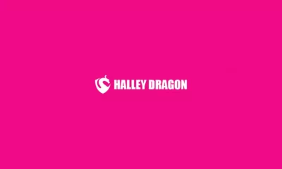 Halley Dragon Mining logo