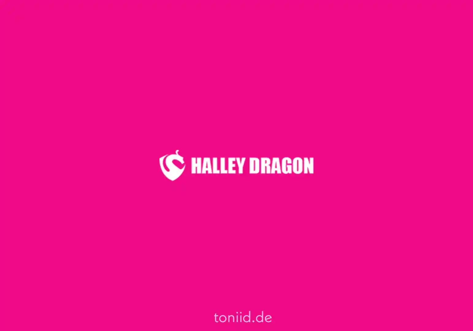 Halley Dragon Mining logo